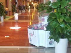 -汤连得温泉馆(宝山店)