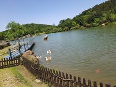 -南京银杏湖乐园