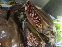 -渔家故事(北二环西路店)