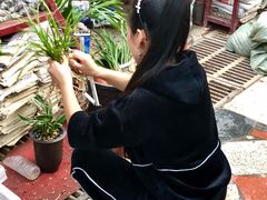 -秦美花卉(天朗·莱茵小城2期店)