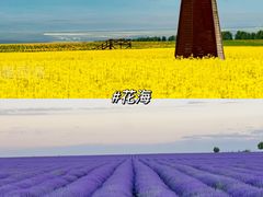 -新疆那拉提国家旅游度假区