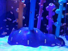 -海合安成都极地海洋公园