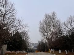 -长春世界雕塑园冰雪艺术天地