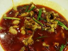 android_upload_pic-簋街仔仔小龙虾(总店)