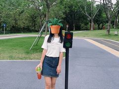 -海珠儿童公园