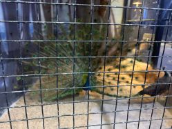 -酷嗒动物文化乐园(cutezoo西溪乐天城店)