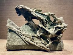 -自贡恐龙博物馆