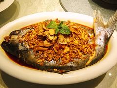-醉云喃