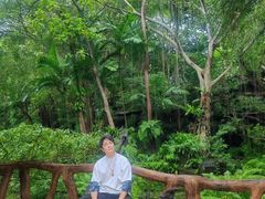 -绿光森林餐厅