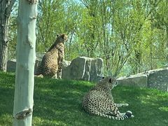 -北京野生动物园