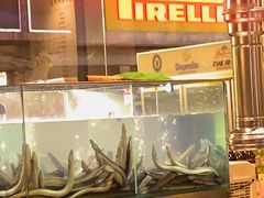 -本炙炭烤·蒲烧活鳗料理店(金沙洲店)