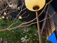 -桂满陇·海市蜃楼·黑金(国金店)