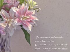 -百万叔(临湖店)