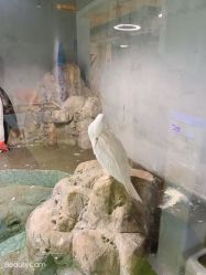 点击看大图 -七巧国萌宠乐园(龙湖天街店)