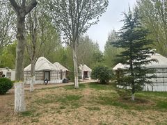 -九十九顶毡房(阜石路店)