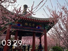 -德胜公园