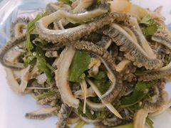 香菜羊肚丝-湘渝人家·川湘菜(十里河店)