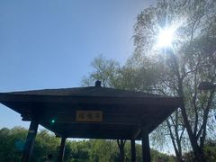 -大兴滨河森林公园