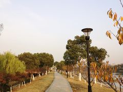 -羊山湖公园