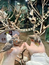 -Zoolung Zoolung动物主题公园(海信广场店)