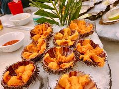 海胆-吉源大排档·鱼生·海鲜(烧烤彩印厂店)