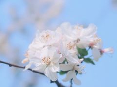 -府河摄影公园