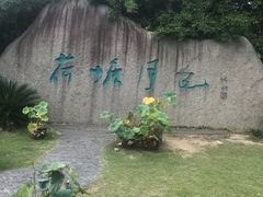 -荷塘月色湿地公园·向阳花洲