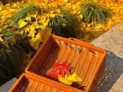 -狼山风景名胜区