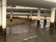 -演武大桥观景平台