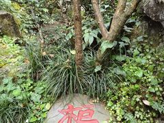 -成都杜甫草堂博物馆