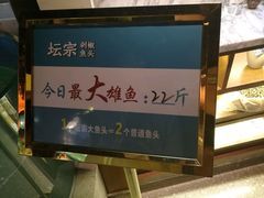 -坛宗剁椒鱼头(河西王府井店)