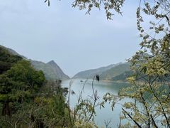 -羚羊峡古栈道森林公园