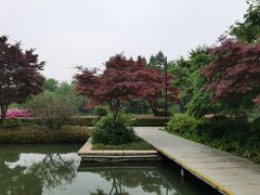 -青枫公园