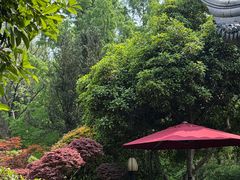 -杭州西子湖四季酒店-WL BISTRO西湖餐厅(灵隐路店)