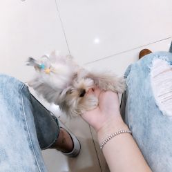 -LEILEI NAIL蕾蕾美甲美睫