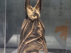 -上海自然博物馆