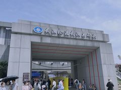 -武汉关码头(轮渡站)