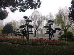 -堤角公园