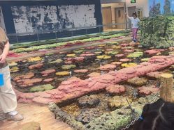 -钓虾工场·钓虾·赶海(回龙观店)