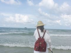 -红树林天天赶海