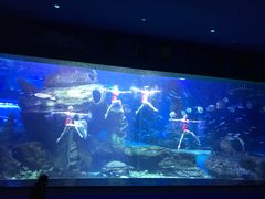 -多彩贵州城极地海洋世界