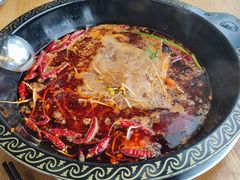 -小志家.鲜牦牛肉牛杂火锅野生菌汤锅