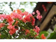 -行人小筑·茶馆(岑村火炉山分店)