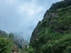 -炎陵县神农谷国家森林公园