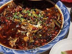 -新概念来凤鱼(璧山店)