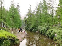 -重庆彩云湖湿地公园