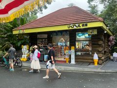 -昆山城市生态森林公园