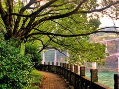 -云和湖仙宫景区