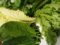-草原传奇鲜羊火锅(桥北店)