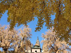 -北京石刻艺术博物馆(五塔寺)